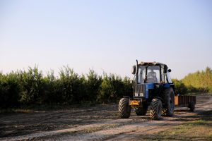 Trator azul com cabine personalizada trabalhando no campo em dia ensolarado.